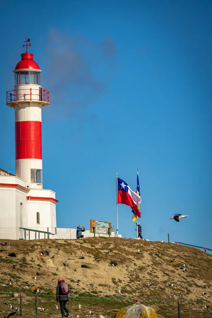 Punta Arenas — 18