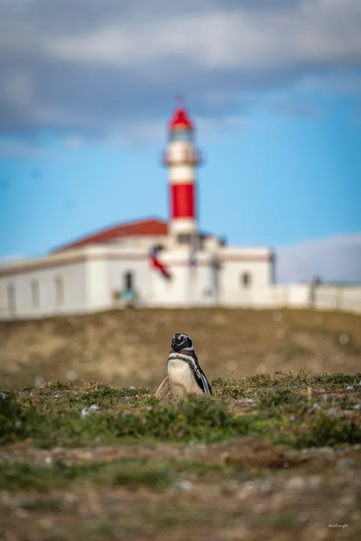 Punta Arenas — 22